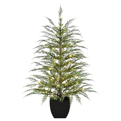 4ft. Pre-Lit Mountain Cedar Artificial Potted Christmas Tree, Warm White LED Rice Lights