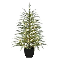 4ft. Pre-Lit Mountain Cedar Artificial Potted Christmas Tree, Warm White LED Rice Lights