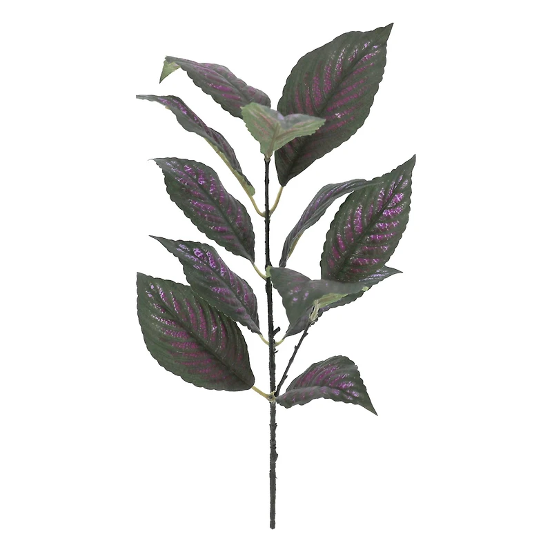 15" Perilepta Dyeriana Leaf Pick by Ashland®