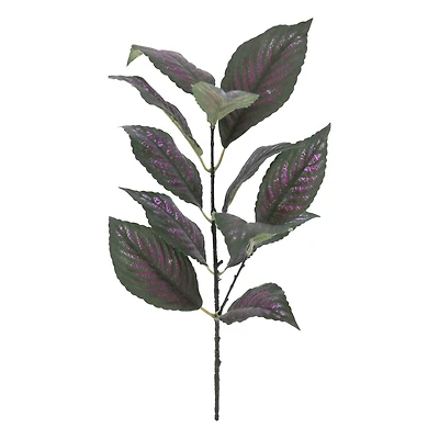 15" Perilepta Dyeriana Leaf Pick by Ashland®