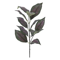 15" Perilepta Dyeriana Leaf Pick by Ashland®
