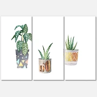 Designart - Three Potted Houseplants