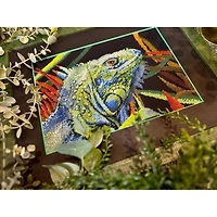 RIOLIS Iguana Counted Cross Stitch Kit 