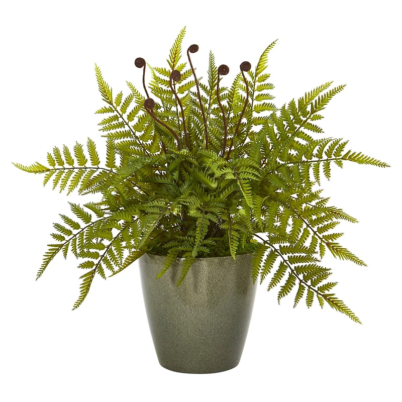 20" Fern in Olive Green Planter