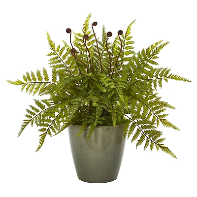 20" Fern in Olive Green Planter