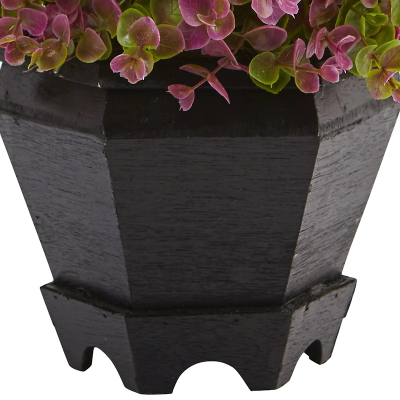 13in. Sedum & Eucalyptus Plant in Black Hexagon Planter