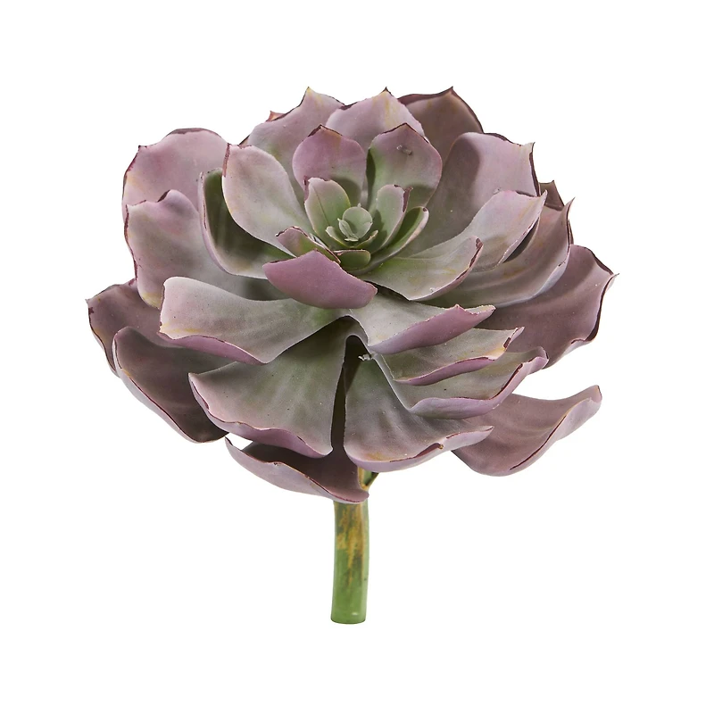 8'' Echeveria Succulent Pick, 6ct.