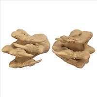 Design Toscano 7" Dragons Thorne MacGarvey Claw Sword Hanger Set