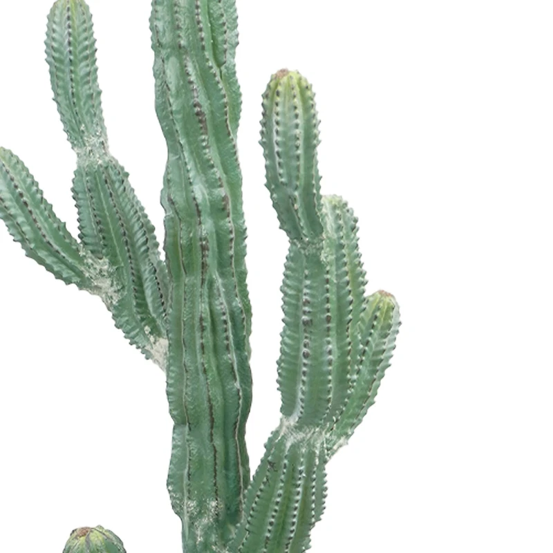 3ft. Potted Green Cactus Tree by Ashland®