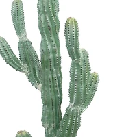 3ft. Potted Green Cactus Tree by Ashland®