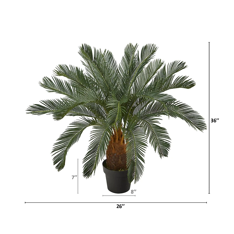 3ft. Potted Cycas Tree