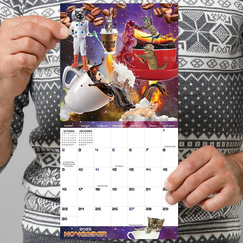 TF Publishing 2025 Space Cats Mini Calendar