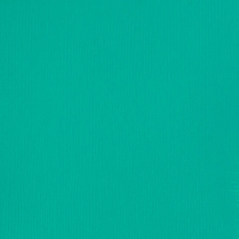 6 Pack: Liquitex® BASICS® Acrylic Fluid