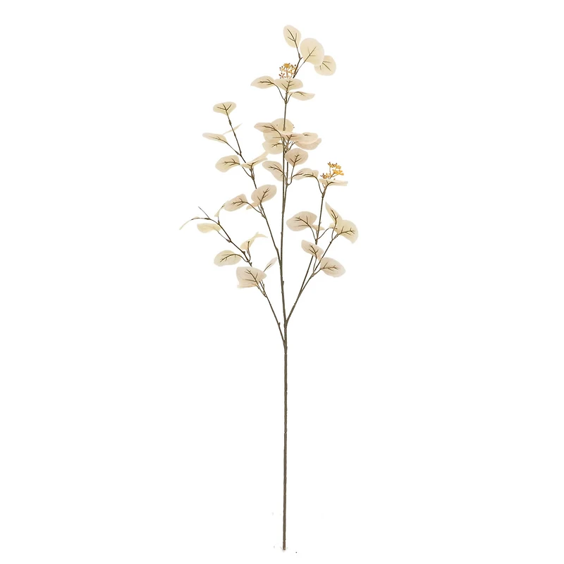 Cream Seed Eucalyptus Stem by Ashland®
