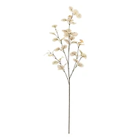 Cream Seed Eucalyptus Stem by Ashland®