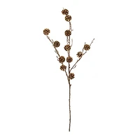 Brown Pinecone Twig Spray, 2ct.