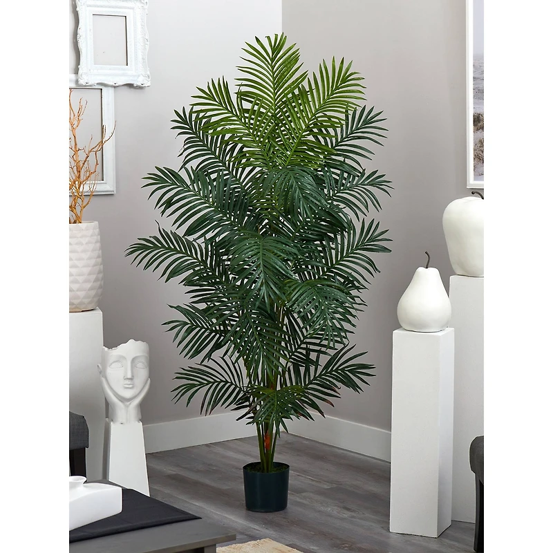 7ft. Potted Paradise Palm