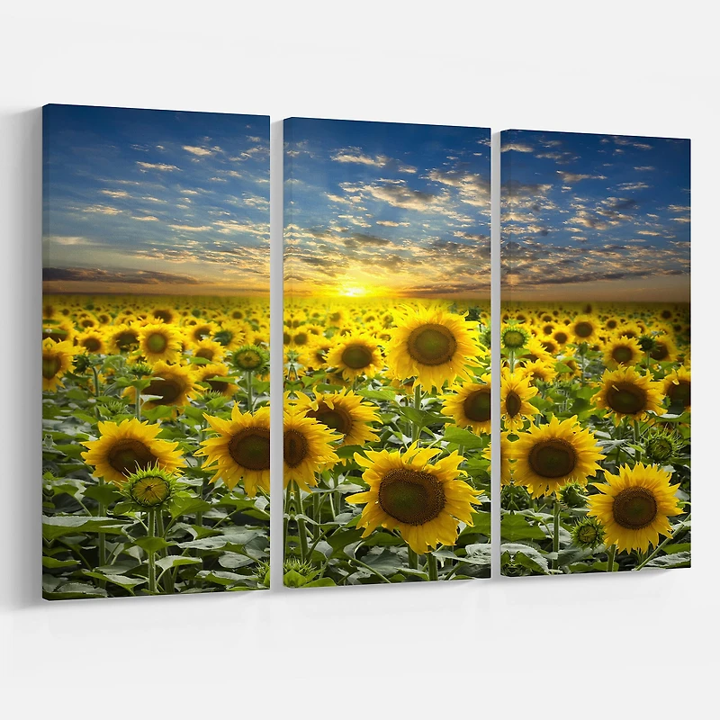 Designart - Field of Blooming Sunflowers