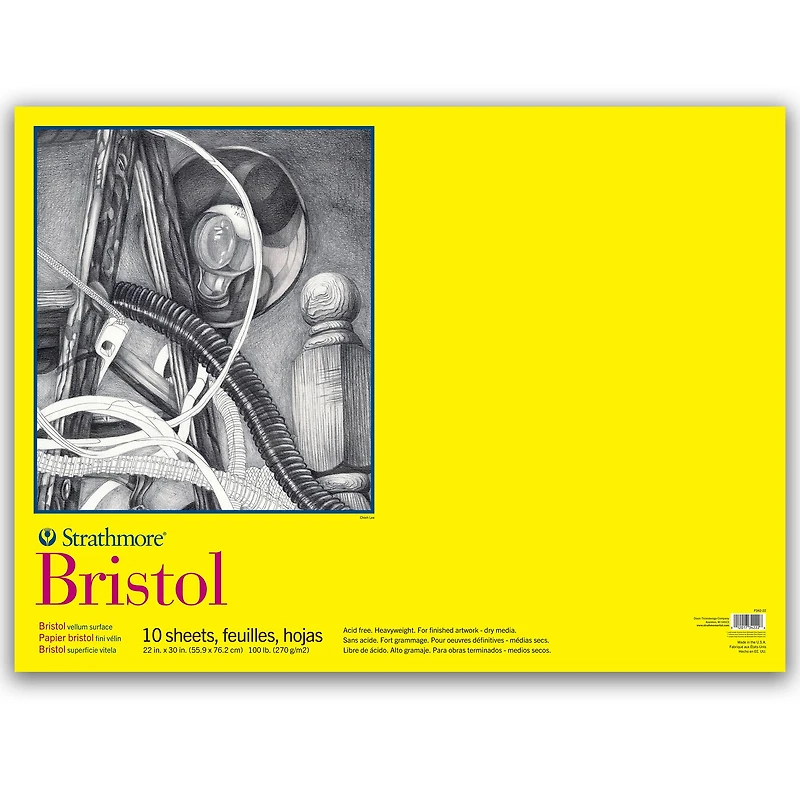Strathmore® 300 Series Bristol Vellum Surface Pad, 22" x 30"