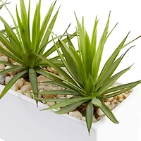 8" Mini Agaves in Rectangular Ceramic Planter