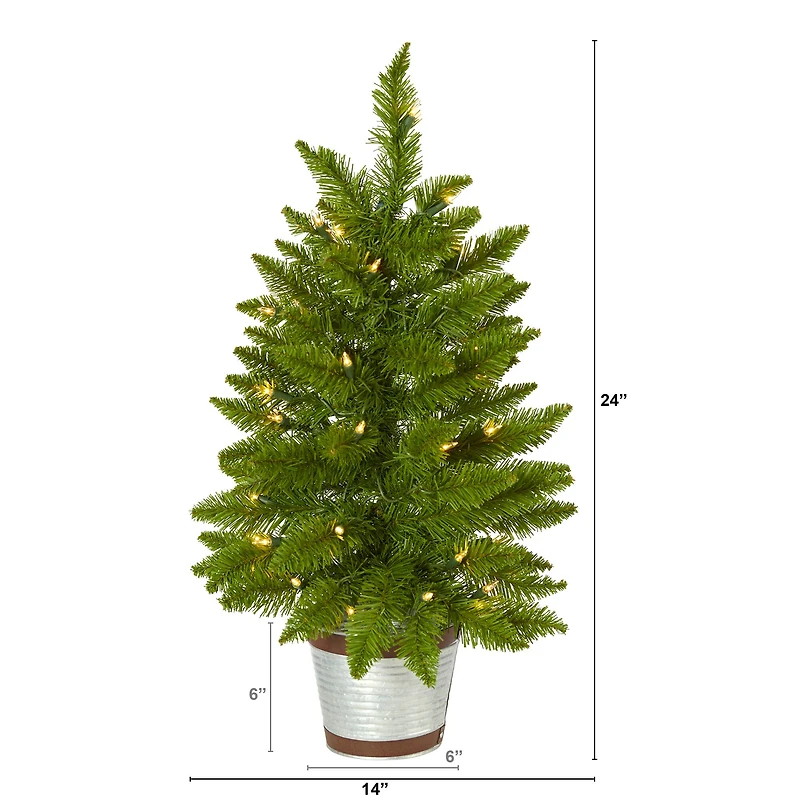 2ft. Pre-Lit Providence Pine Artificial Christmas Tree, Warm White Lights