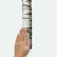 RoomMates Realistic Birch Trees Peel & Stick Giant Decals