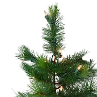 6.5ft. Pre-Lit Royal Alpine Artificial Christmas Tree, Clear Lights