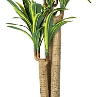 4.3ft. Potted Artificial Green & Yellow Dracaena Tree