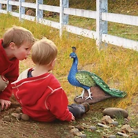 Design Toscano 13" The Regal Peacock Garden Statue