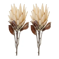 29.25" Red Protea Flower Stems
