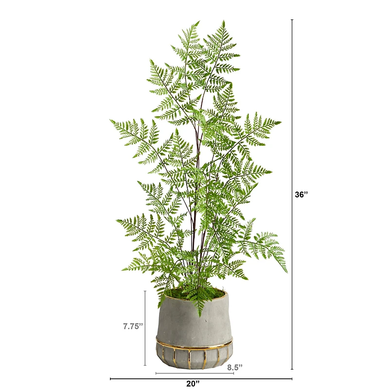 3ft. Ruffle Fern Tree in Gold Trimmed Stoneware Planter