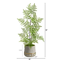 3ft. Ruffle Fern Tree in Gold Trimmed Stoneware Planter