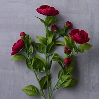 Burgundy Ranunculus Spray by Ashland®