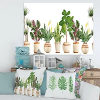 Designart - Trio of Houseplants Sanseviera Snake Plant