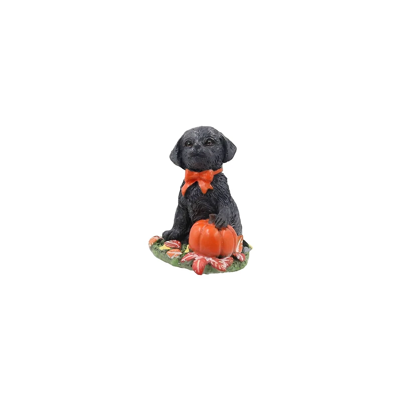 Mini Lab with Pumpkin by Ashland®