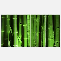 Designart - Green Bamboo Forest