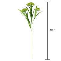 Green Queen Anne's Lace Stem by Ashland®