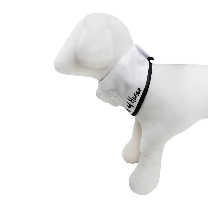 Best Furry Friends Dog of Honor Floral Collar