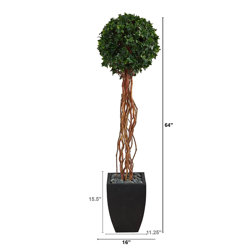 5.5ft. English Ivy Single Ball Artificial Topiary Tree in Black Planter