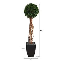 5.5ft. English Ivy Single Ball Artificial Topiary Tree in Black Planter