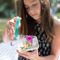 Educational Insights Nancy B's Science Club Bug Discovery Lab