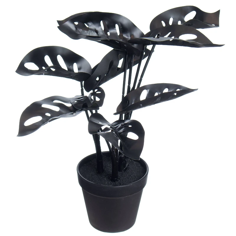 14.5" Potted Broken Heart Monstera by Ashland®
