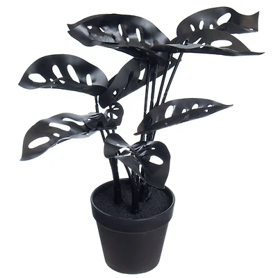 14.5" Potted Broken Heart Monstera by Ashland®