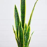 30in. Artificial Sansevieria Plant