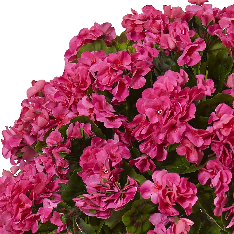 22" Geranium Flowering Plant in Farmhouse Planter