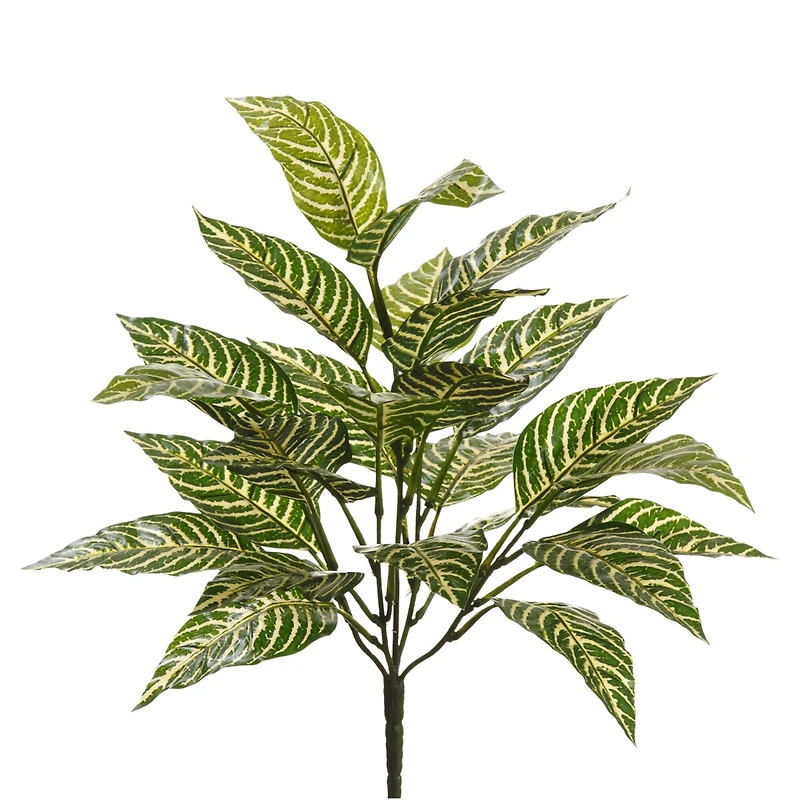 12 Pack: Green Zebra Bush by Ashland®