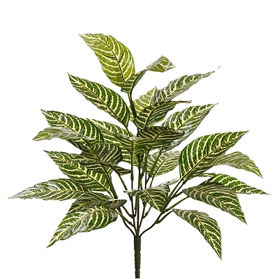 12 Pack: Green Zebra Bush by Ashland®