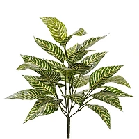 12 Pack: Green Zebra Bush by Ashland®