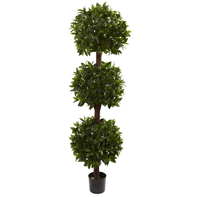 6.5ft. Potted Sweet Bay Triple Ball Topiary Plant