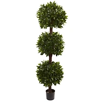 6.5ft. Potted Sweet Bay Triple Ball Topiary Plant